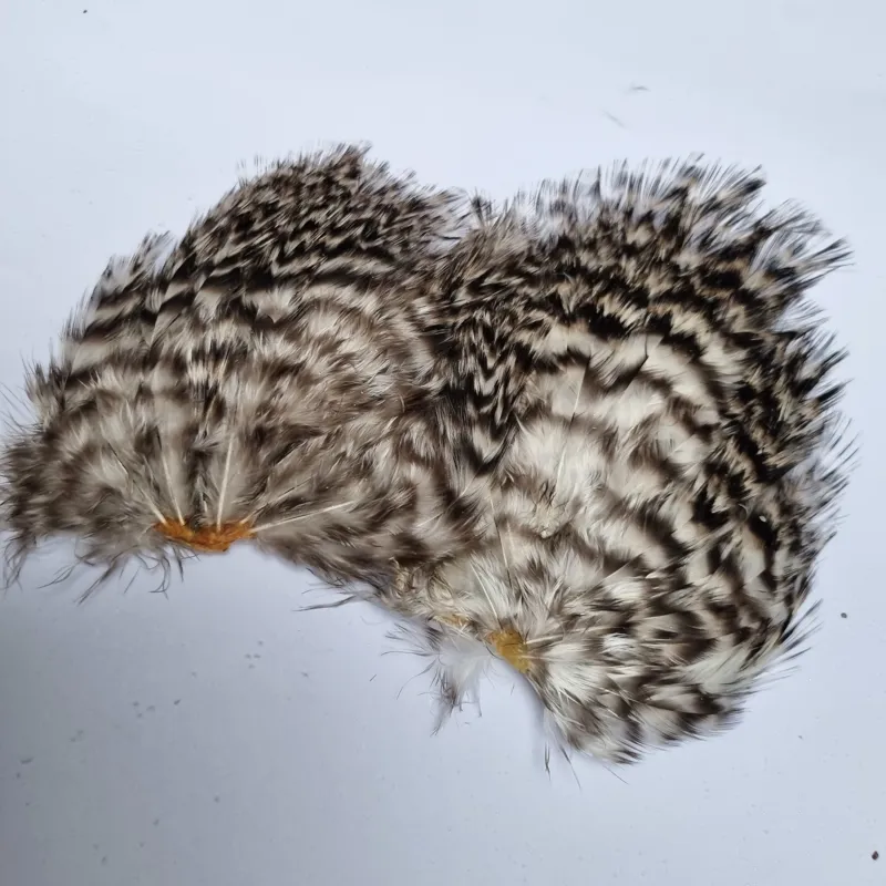 Whiting Coq de Leon Tailing pack in Grizzly-3